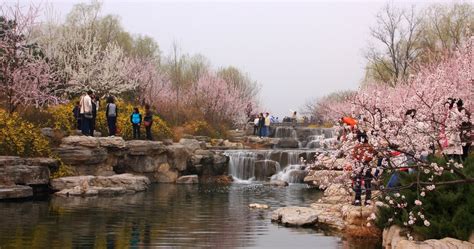 北京3月哪裏看花，賞花還需考慮什麼因素